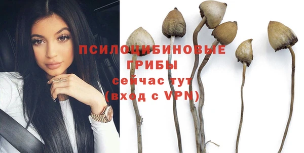 mix Костерёво