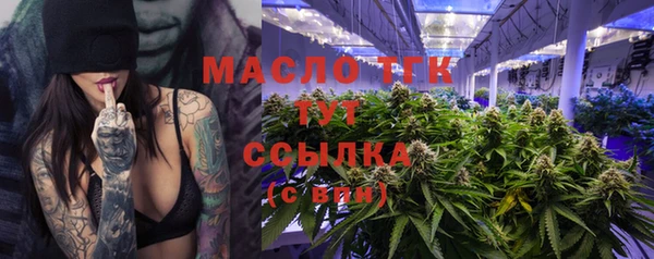 хмурый Корсаков