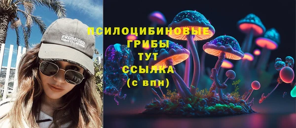 хмурый Корсаков