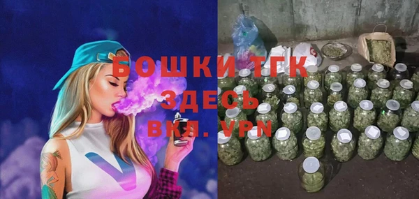 хмурый Корсаков