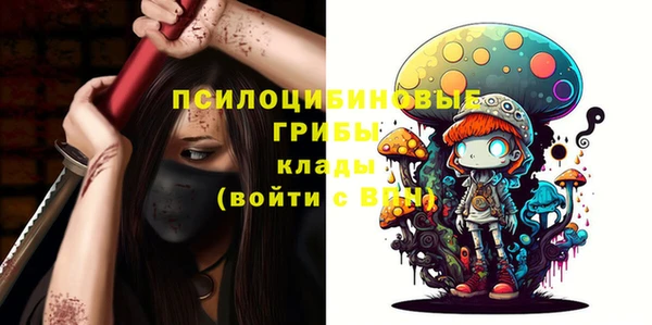 гашик Краснотурьинск
